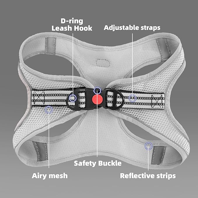 ROYPET Step-in Air Dog Harness, All Weather Mesh Step in Vest Harness for Small and Medidum Dogs and Cats, Adjustable Soft Padded Dog Vest with Easy Control Handle for Dogs Pets (Light Gray, M)