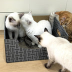 Extra Large Cat Cardboard Scratch with Box Bigger Space Double-Sided Scratching Refillable Pad Scratcher Board Window Handle Design Easy to Clean Scraps Scratched Bed for Indoor Cats (Grey)