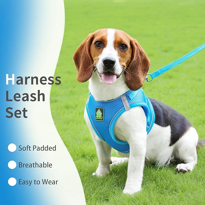 Step in Dog Harness with Leash Set, Adjustable Soft Padded and Breathable Mesh for Small Sized Dog, Reflective No Pull No Choke Cat Vest Harness, Easy Control Pet Vest, Blue L