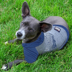 MLB Hoodie Shirt for Dogs & Cats - Los Angeles Dodgers Dog Hooded T-Shirt, Large. - MLB Team Color Hoody Vest for Baseball Fans