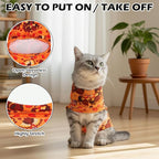 EXPAWLORER Thanksgiving Cat Sweater - Sweaters for Cats Only Soft Warm Pet Clothes, Fall and Winter Turkey Coat Pullover Design, Fleece Sweatshirt Clothing Also for Puppy Small Dogs, Medium