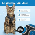 Voyager Escape-Proof Step-in Lock Cat Harness & 5ft Neoprene-Handle Leash Set All-Weather Mesh with Reflective Stitching for Small to Large Cats by Best Pet Supplies, Black (327), XXXS