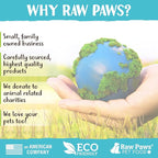 Raw Paws Catnip Balls for Cats, (6-Count) - Interactive Cat Toy for Indoor Cats - Cat Nip Licking Balls