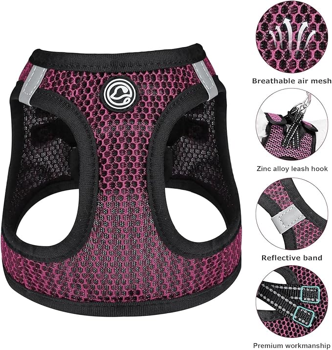 Step in Dog Harness Comfort Mesh Dog Vesr Harness Extra Small Pet Harness for Chihuahua Soft Padded Harness Lightweight Puppy Harness for Cat Doggie Outdoor Walking (Rose, Medium)