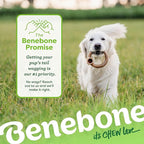Benebone Ring Durable Dog Chew Toy for Aggressive Chewers, Real Bacon, Made in USA, Medium