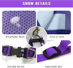 FEimaX Dog Harness and Leash Set, No-Pull Breathable Soft Mesh Puppy Vest Harness Reflective Adjustable Pet Harnesses for Small Medium Dogs and Cats - Outdoor Easy Control for Walking (XS, Purple)
