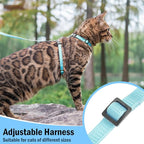 PUPTECK Adjustable Cat Harness and Leash Set Escape Proof Kitten Strap Collar for Walking Travel, Sky Blue, M