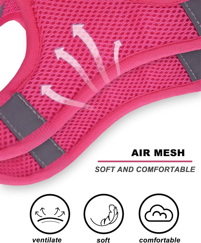 Light Purple Flower Pattern Dog Harness and Leash Set,No Escape Puppy Harnesses for Training Walking，Breathable Adjustable Puppy Vest for Small Medium Dogs, Cats (Light Purple, XXS)