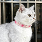EXPAWLORER Leather Cat Collar for Girl Boy- Adjustable Pet Collar with Safety Elastic Belt,Personalized Star & Pearl Accessories Buckle Collars with Bell & Durable D-Ring,Pentagram (Pink)