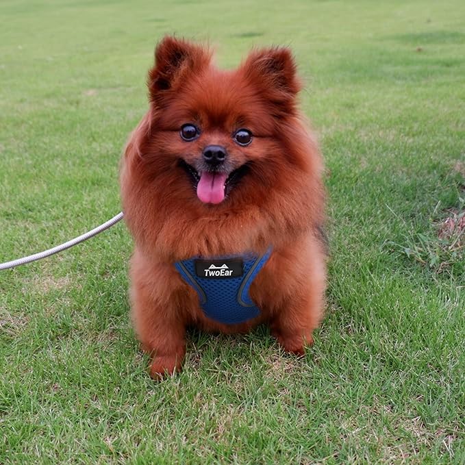 TwoEar Dog Vest Harness Reflective, No-Pull Pet Harness Easy Control with Breathable Mesh, Soft Puppy Step-in Harness No-Choke for Outdoor Walking, Training for Small Dogs, Cats(XS, Blue)