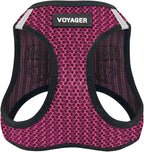 Best Pet Supplies Voyager Step-in Air Harness - All Weather Mesh, Reflective, No Pull Harness for Dogs, Cats - Secure with Hook & Loop Fastener, Buckle, Double D-Rings - Fuchsia 2-Tone, S