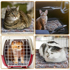 Tuanse 4 Pack Ultra Soft Dog Cat Bed Mat Small Animal Guinea Pig Bed with Cute Print Reversible Fleece Dog Crate Kennel Pad Cozy Washable Thickened Hamster Pet Beds Mat(23 x 18 Inches,Gray)