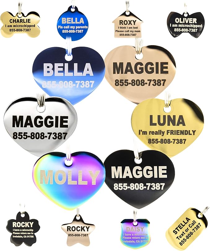Engraved Dog Tags Personalized - Stainless Steel Engraved Dog Cat ID Tags Front & Back up to 8 Lines of Text Color Plating Gold, Rose Gold, Blue, Black, Nebula by PetANTastic