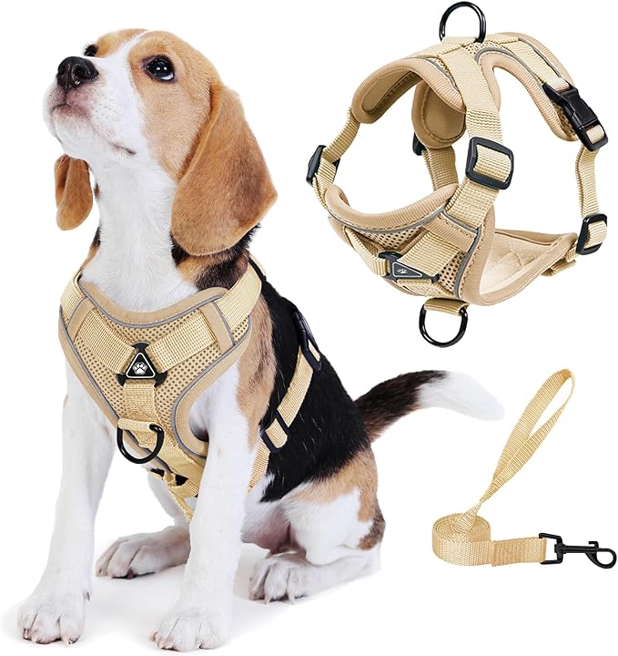 No Pull Dog Harness with Leash Set for Medium Sized Dog, Reflective Adjustable No Choke Front Clip Cat Vest Harness with Breathable Mesh, Comfortable Soft Padded Pet Vest, Brown XL