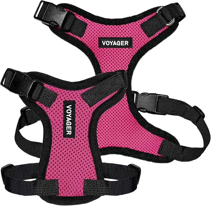 Voyager Step-in Pet Harness - All Weather Mesh, Adjustable Step in Harness for Cats and Dogs by Best Pet Supplies - Fuchsia/Black Trim, L