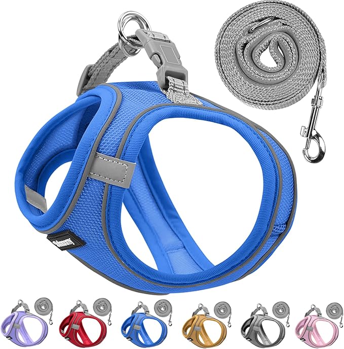 Solmoony Sparkly XXXS Dog Harness and Leash Set, Step in Soft Light Puppy Vest, Breathable Reflective Pet Harness for Walking, Puppy Harness for Small Dogs Cats (Blue, XXXS)