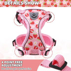 KOOLTAIL Cat Harness and Leash Set, Escape Proof for Safe Walking & Travel, Reflective Comfortable Easy Control Adjustable Kitten Harness for Boys&Girls Small Medium Large Cats Strawberry M
