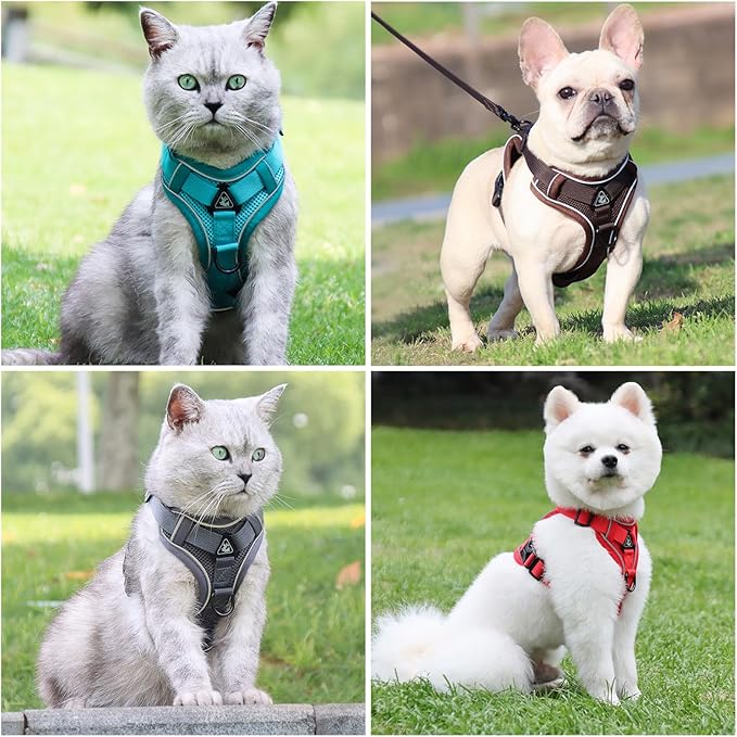 Escape Proof Kitten Harness and Leash Set - Adjustable Soft Mesh Vest for Small Cats, Reflective Breathable Walking Harness with 4 Buckles