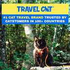 Travel Cat Harness and Leash Set - Adjustable Fit Mesh Cat Harness and Reflective Strap - Comfort Walking Vest for Kitten for Outdoor Walking, Hiking (Small, Orange)