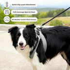 ROYPET Step-in Air Dog Harness, All Weather Mesh Step in Vest Harness for Small and Medidum Dogs and Cats, Adjustable Soft Padded Dog Vest with Easy Control Handle for Dogs Pets (Light Gray, XS)