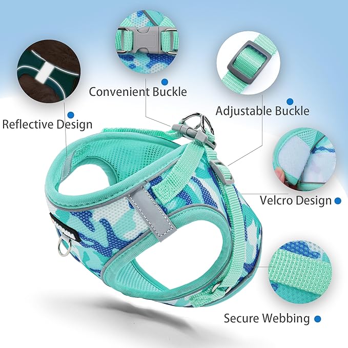 Step in Dog Harness with Leash Set, Adjustable Soft Padded and Breathable Mesh for Medium Sized Dog, Reflective No Pull No Choke Cat Vest Harness, Easy Control Pet Vest, Teal XL