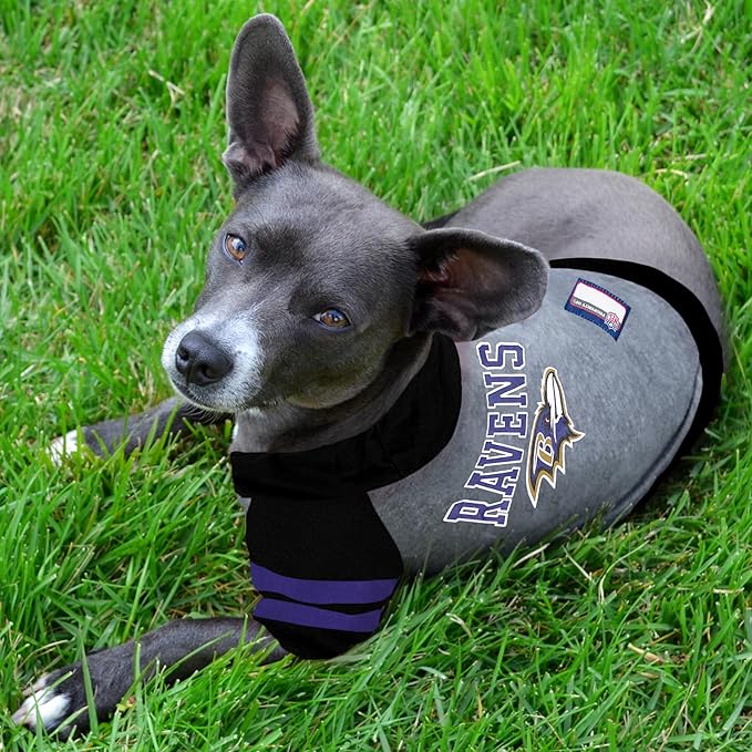Pets First Hoodie for Dogs & Cats. NFL Football Licensed Dog Hoody Tee Shirt, Small. Sports Hoody T-Shirt for Pets. Licensed Sporty Dog Shirt