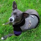 Pets First Hoodie for Dogs & Cats. NFL Football Licensed Dog Hoody Tee Shirt, Small. Sports Hoody T-Shirt for Pets. Licensed Sporty Dog Shirt