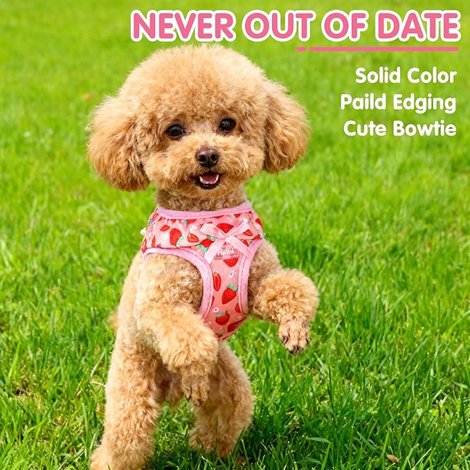 PUPTECK Dog Harness for Puppy and Small Sized Dogs, Step-in No Pull Soft Mesh Vest Harness for Cats Small Pets Walking, Pink Strawberry, New S
