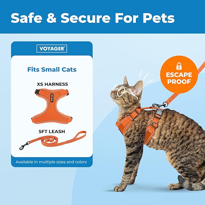 Voyager Escape-Proof Step-in Lock Cat Harness & 5ft Neoprene-Handle Leash Set All-Weather Mesh with Reflective Stitching for Small to Large Cats by Best Pet Supplies, Orange (327), XS