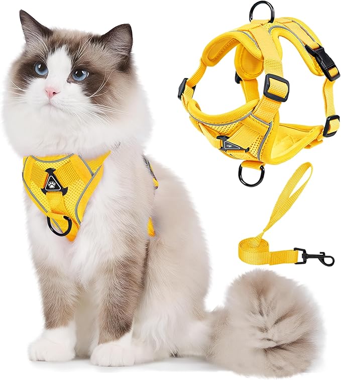 No Pull Dog Harness with Leash Set for Small Sized Dog, Reflective Adjustable No Choke Front Clip Cat Vest Harness with Breathable Mesh, Comfortable Soft Padded Pet Vest, Yellow M