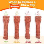 Nylabone Textured Bone Power Chew Toy for Dogs, Durable & Tough Dog Toys for Aggressive Chewers, Basted Blast Bacon & Steak Flavor, Medium Dogs - Up to 35 lbs, 1 Count