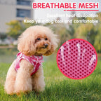 PUPTECK Dog Harness for Puppy and Small Sized Dogs, Step-in No Pull Soft Mesh Vest Harness for Cats Small Pets Walking, Fuschia, New S