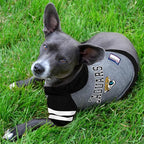 Pets First NFL Jacksonville Jaguars Hoodie for Dogs & Cats. | NFL Football Licensed Dog Hoody Tee Shirt, X-Small| Sports Hoody T-Shirt for Pets | Licensed Sporty Dog Shirt