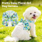 BAEJMJK Dog Harness and Leash Set with Bow Knot No Pull Pet Daisy Floral Harness with D-Ring Soft Mesh Dog Harness Vest Set Escape Proof Princess Puppy Harness for Small Girl Dogs Cats（Blue A S）