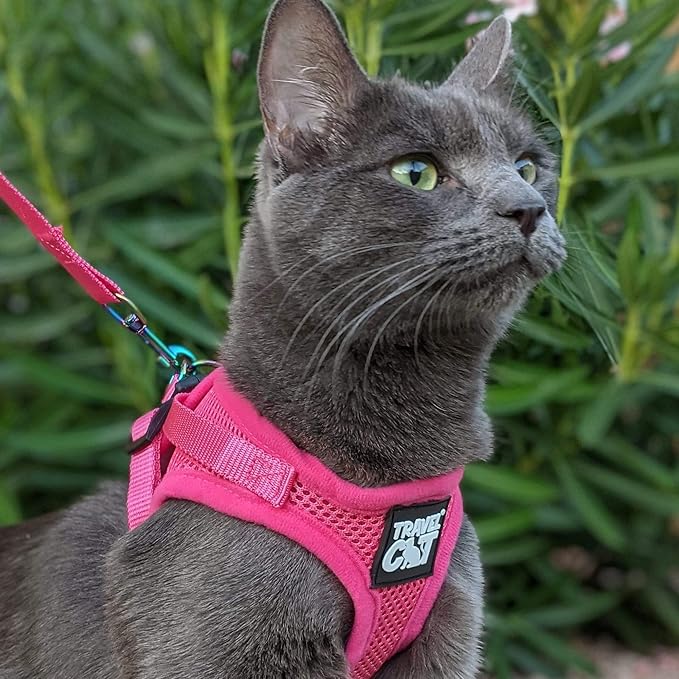 Travel Cat Harness and Leash Set - Adjustable Fit Mesh Cat Harness and Reflective Strap - Comfort Walking Vest for Kitten for Outdoor Walking, Hiking (Small)