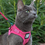 Travel Cat Harness and Leash Set - Adjustable Fit Mesh Cat Harness and Reflective Strap - Comfort Walking Vest for Kitten for Outdoor Walking, Hiking (Medium)