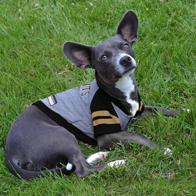 Pets First NFL New Orleans Saints Hoodie for Dogs & Cats. | NFL Football Licensed Dog Hoody Tee Shirt, Medium | Sports Hoody T-Shirt for Pets | Licensed Sporty Dog Shirt