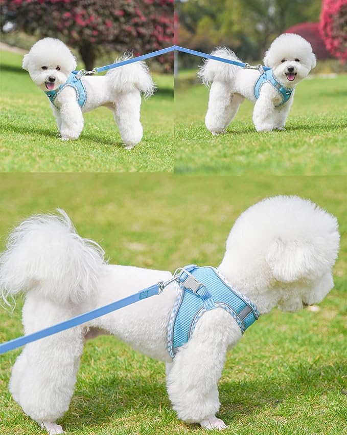 Petank Dog Harness for Small Medium Dogs No Pull, Puppy Harness and Leash Set, Step in Dog Harness for Walking, Running, Training, Small Dog Vest(Bule, S)