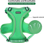Rttochfy Cat Harness and Leash Set, Adjustable and Reflective Cat Vest, Escape Proof Kitten Harness, Easy to Put on with 3 Buckles for Cats Walking and Traveling (Green, M)