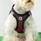 Dog Harness for Medium Dogs Chihuahua Harness Tiny Dog Harness for Cats Dogs Adjustable Reflective Pet Harness Small Cat Harness (Red, Medium)
