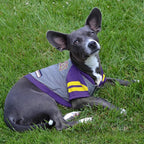 Pets First NFL Minnesota Vikings Hoodie for Dogs & Cats. | NFL Football Licensed Dog Hoody Tee Shirt, Medium| Sports Hoody T-Shirt for Pets | Licensed Sporty Dog Shirt