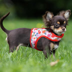 Mile High Life Dog Harness, Air Mesh Floral Vest Harness for 20 lbs Small Dogs & Cats, Easy Get on Adjustable Easy Closures Both Neck and Chest(Red Flower, XS Chest 14"-16")