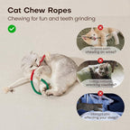 Potaroma Cat Toys Chew Ropes 3Pcs with Refillable Natural Catnip, Safe Teeth Cleaning Toy for Indoor Kittens, Interactive Cat Nip Kitty Toys for All Breeds 19.5 Inches