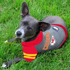 Kansas City Chiefs Hoodie Tee Shirt