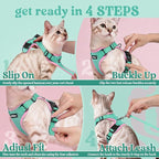 rabbitgoo Cat Harness and Leash for Walking, Escape Proof Soft Adjustable Vest Harnesses for Cats, Easy Control Breathable Reflective Strips Jacket, Green&Pink, M
