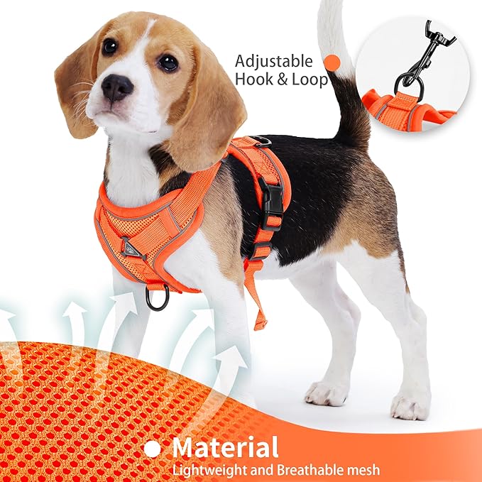 No Pull Dog Harness with Leash Set for Medium Sized Dog, Reflective Adjustable No Choke Front Clip Cat Vest Harness with Breathable Mesh, Comfortable Soft Padded Pet Vest, Orange XL