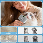 Pet Steam Brush for Dogs & Cats,5-in-1 Self-Cleaning Dog Steam Brush with 3 Swap-in Heads (Grooming, Dematting, Deshedding),Cat Spray Hair Removal Comb,Includes Pet Essence & Storage Case