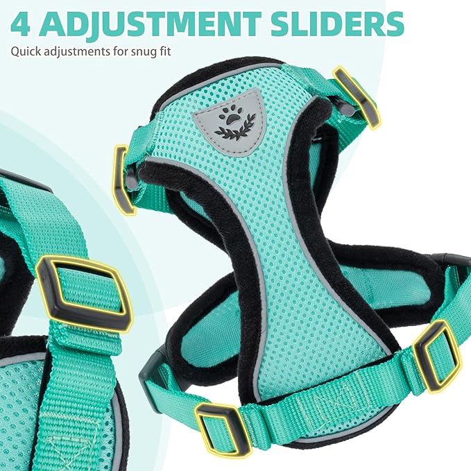 PUPTECK Cat Harness and Leash Set Escape Proof Reflective Cat Walking Harness Adjustable Soft Breathable Mesh Vest for Small Pets, Aquamarine, XS