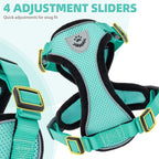 PUPTECK Cat Harness and Leash Set Escape Proof Reflective Cat Walking Harness Adjustable Soft Breathable Mesh Vest for Small Pets, Aquamarine, L
