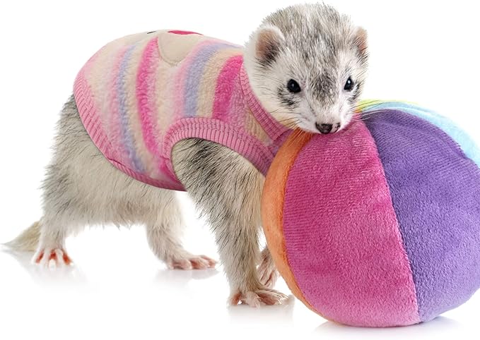 Geyoga 4 Pieces Warm Puppy Clothes for Dogs Boy and Girl Ferret Sweaters Cat Rabbit Chihuahuas Vest Flannel Pet Costume Pet Apparel for Bunny Kitten Clothes Girl(3XS and 2XS)